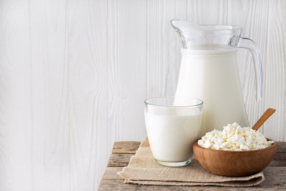 dairy products in protein diet